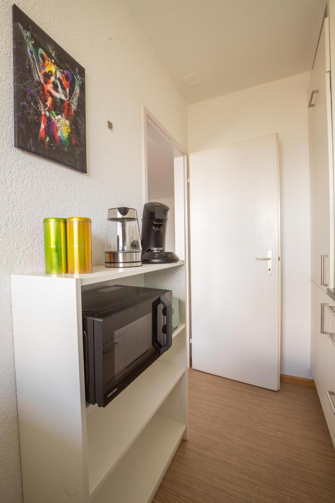 Special Blue Tiger Apartment Basel, Messe Kleinbasel 10-Star エクステリア 写真