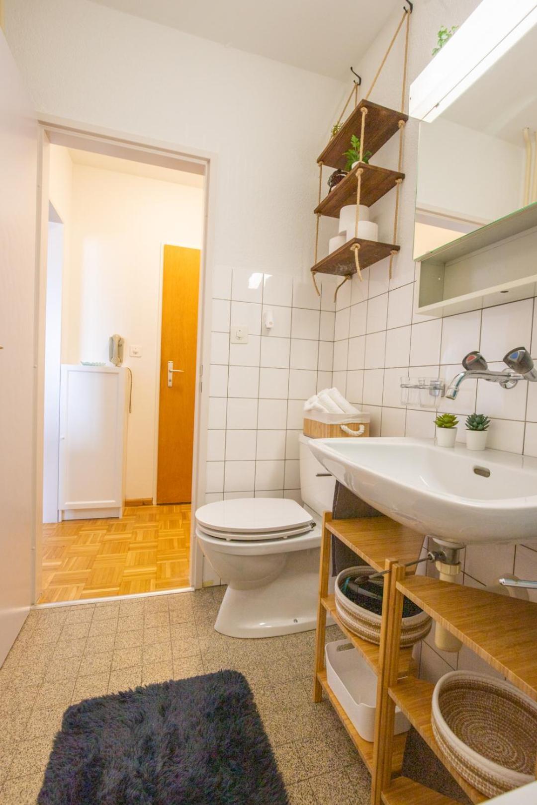 Special Blue Tiger Apartment Basel, Messe Kleinbasel 10-Star エクステリア 写真